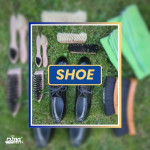 Shoe